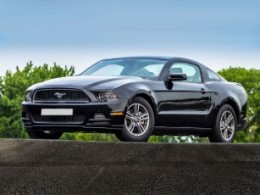 Ford Mustang 14 Ford Mustang 14